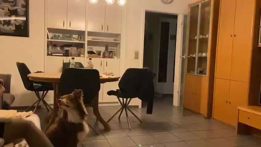 12. Kurzgeschichten-Challenge: Alltagshelfer-Beitrag-Bild