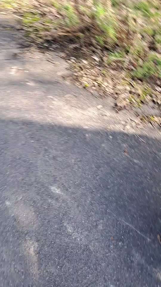 TierschutzhundeStammtisch🐕-Beitrag-Bild