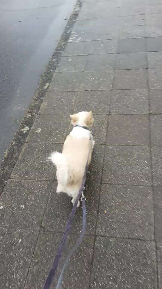 Was hat euch heute gefreut?-Beitrag-Bild