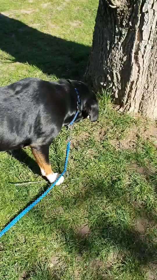 Trainingserfolge-Beitrag-Bild