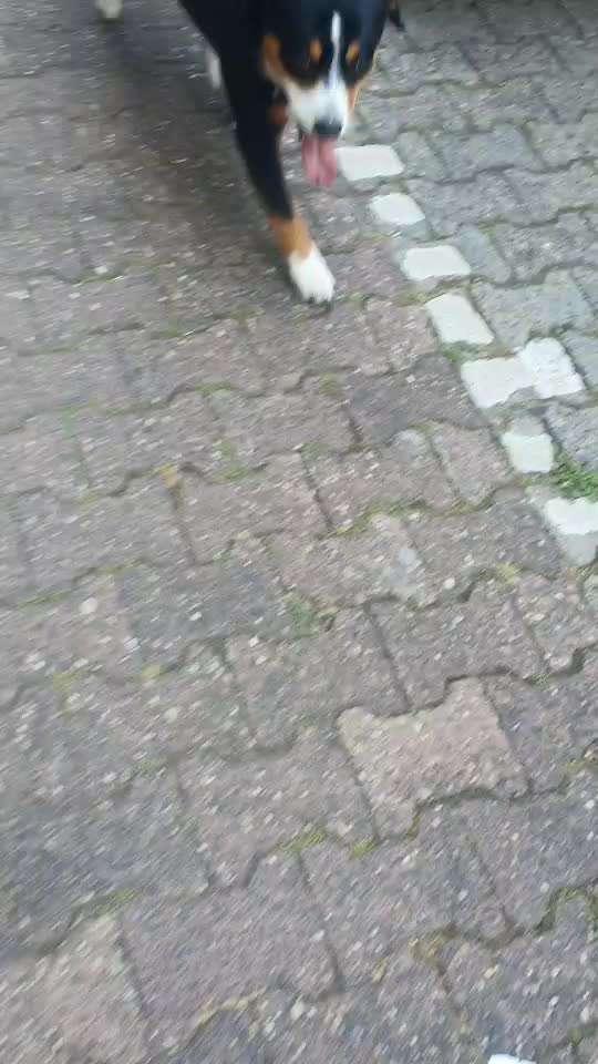 kleffer🤣🤣-Beitrag-Bild