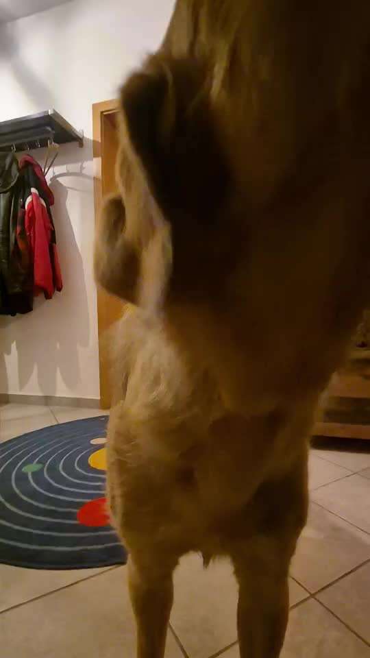 Trickchallenge Nr.86: Spiegelbild-Beitrag-Bild