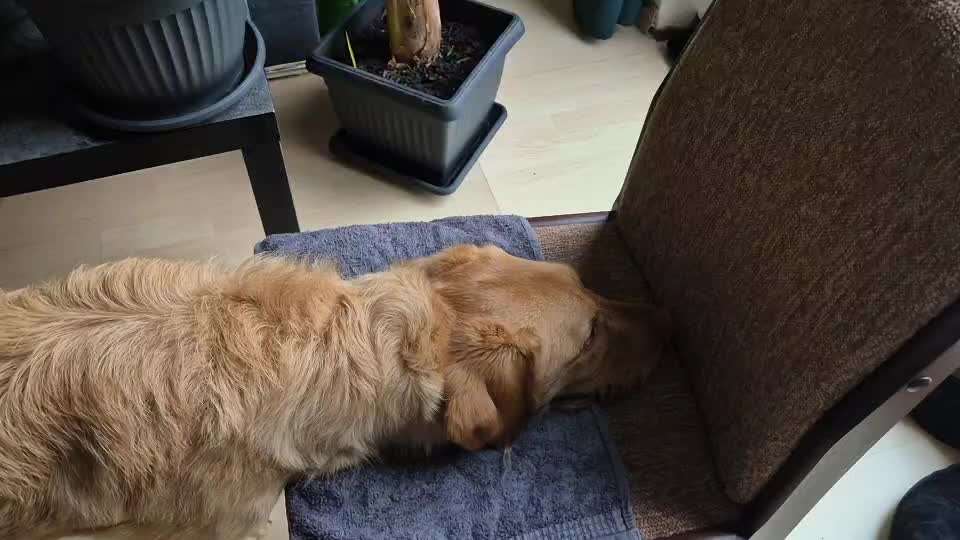 87. Trickchallenge: kinntarget-Beitrag-Bild