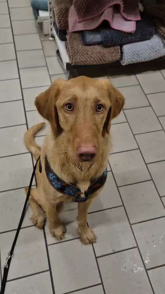 82. Trickspiel : Bleib!-Beitrag-Bild