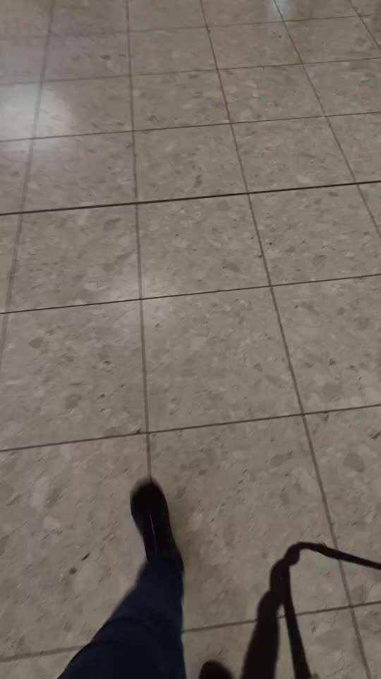 Nr. 71 - Leinenführigkeit (Impulskontrollübung)-Beitrag-Bild