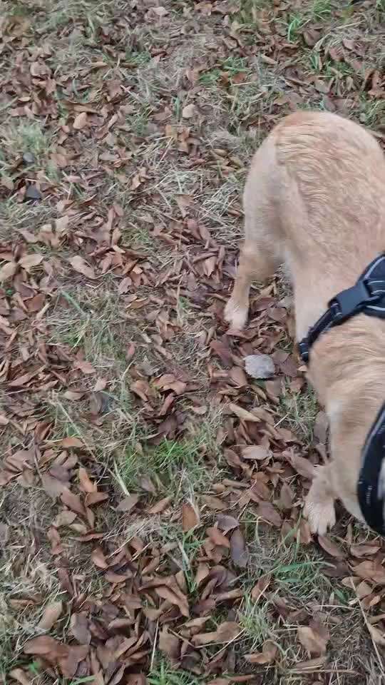 82. Trickspiel : Bleib!-Beitrag-Bild