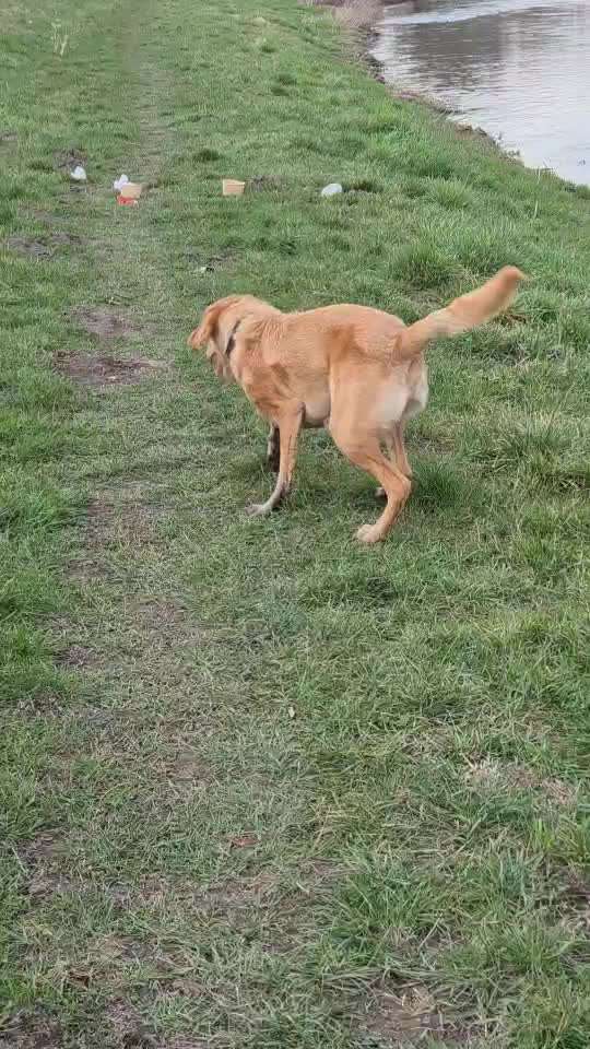 Was hat euch heute gefreut?-Beitrag-Bild