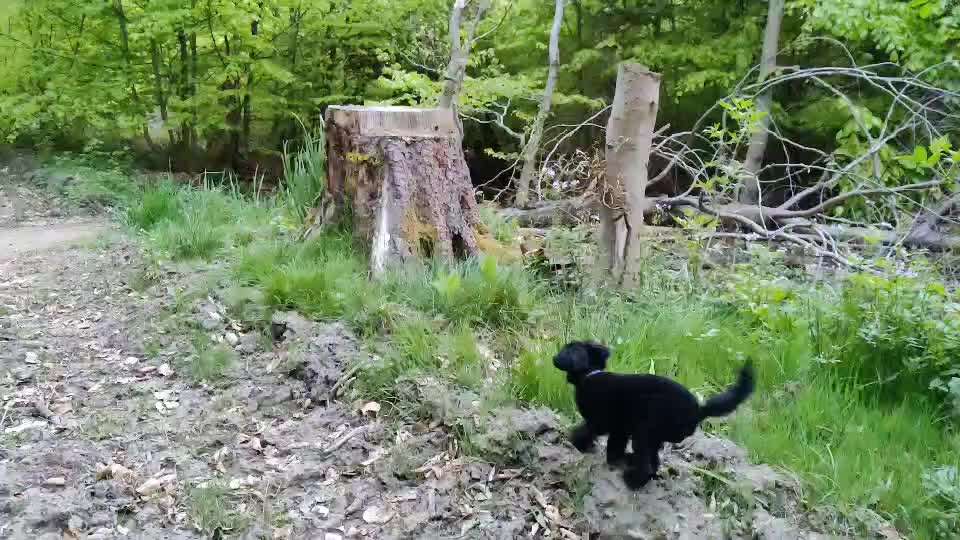 Trick Challenge Nr. 7-Beitrag-Bild