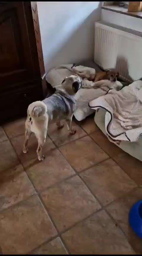 Wie hoch ist das Lebensalter-Beitrag-Bild