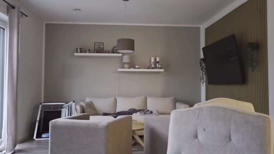 Akute Problemsituation mit jungem Hund nach OP: Besitzansprüche, Dauerstress, Kinder betroffen-Beitrag-Bild