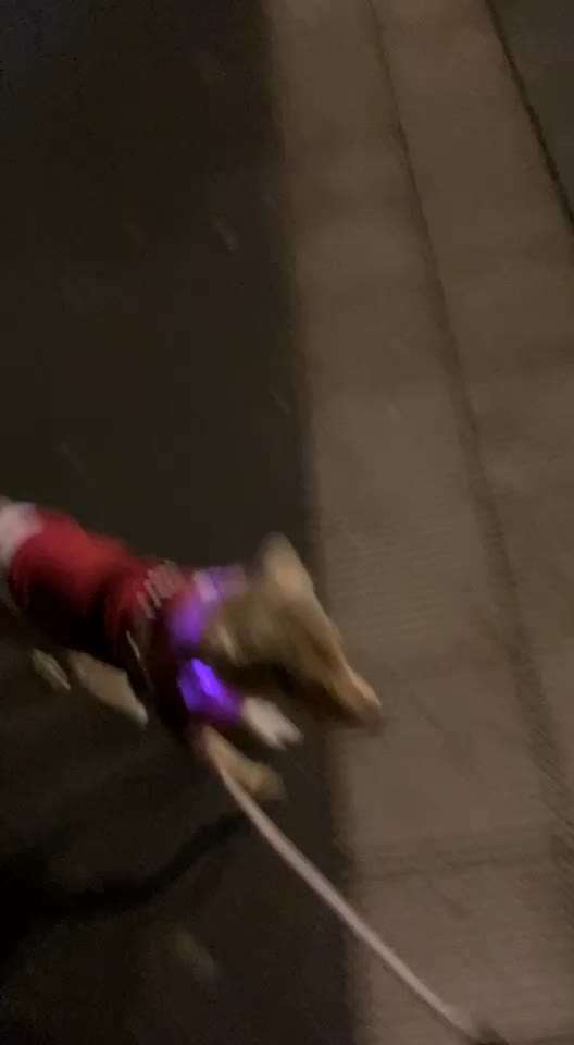 Trick Challenge ABC-Beitrag-Bild