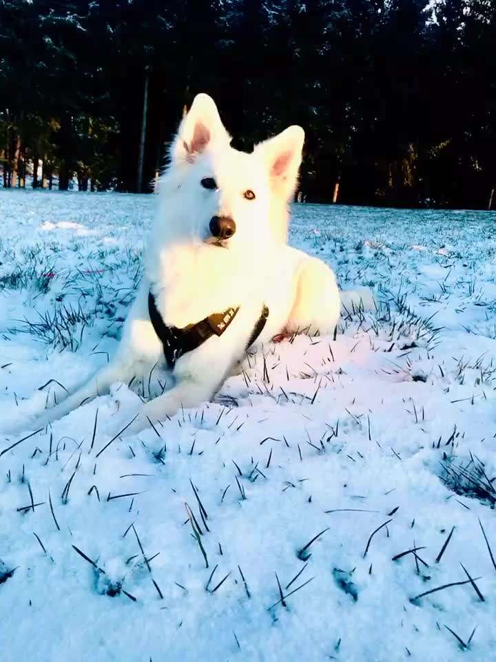 Ton in Ton-Beitrag-Bild