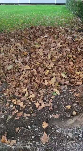 Herbst Bilder-Beitrag-Bild