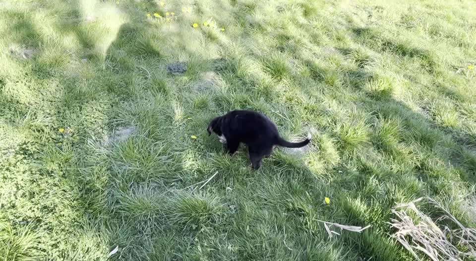 Geistige Förderung-Beitrag-Bild