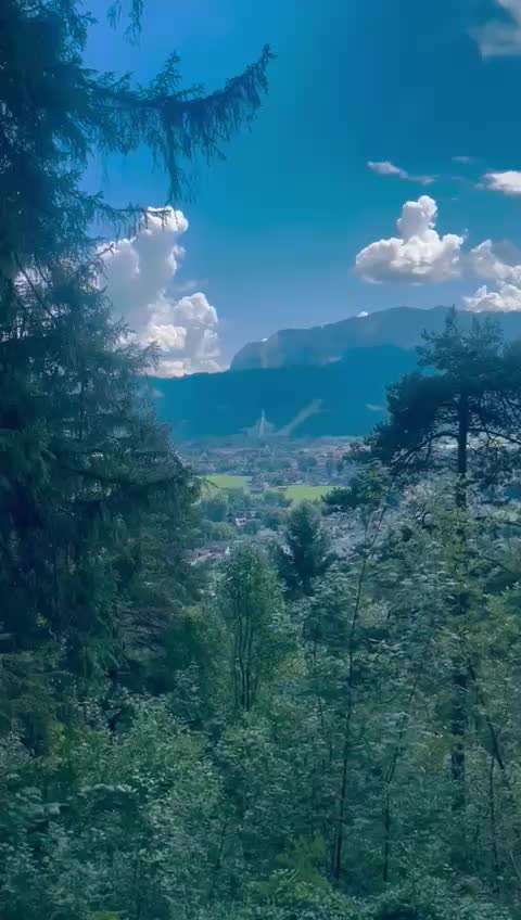 Urlaub mit Hund - Hat jemand Empfehlungen?-Beitrag-Bild