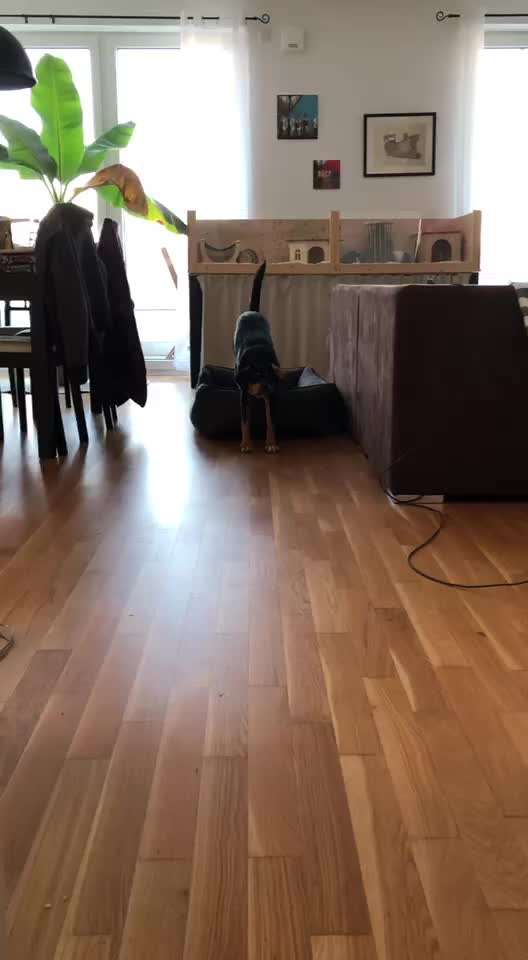 Video Challenge Nr. 5 - aufwachen/aufstehen-Beitrag-Bild