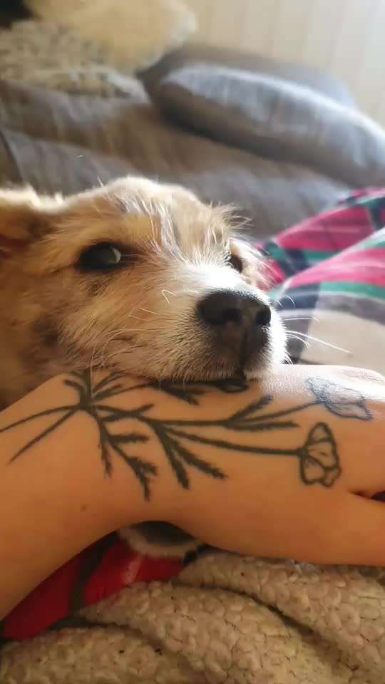 Das Beißen hört nicht auf :(-Beitrag-Bild