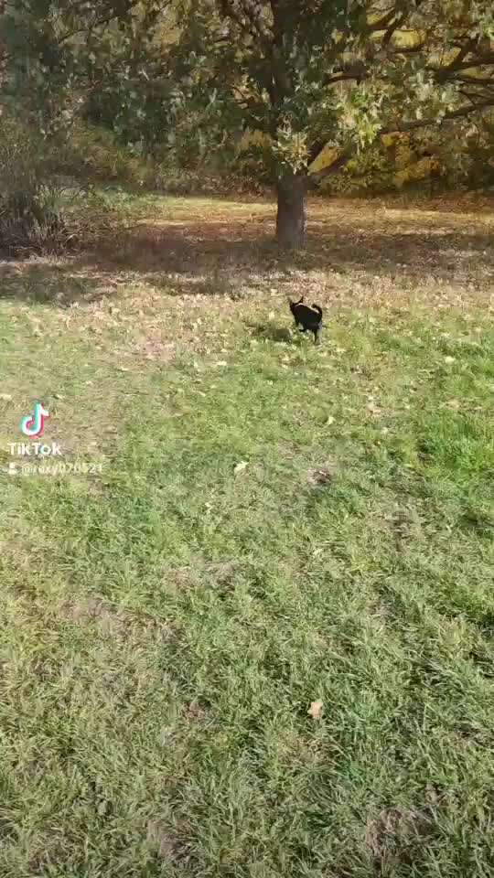 Fotochallenge Nr.105  Glücksmomente-Beitrag-Bild