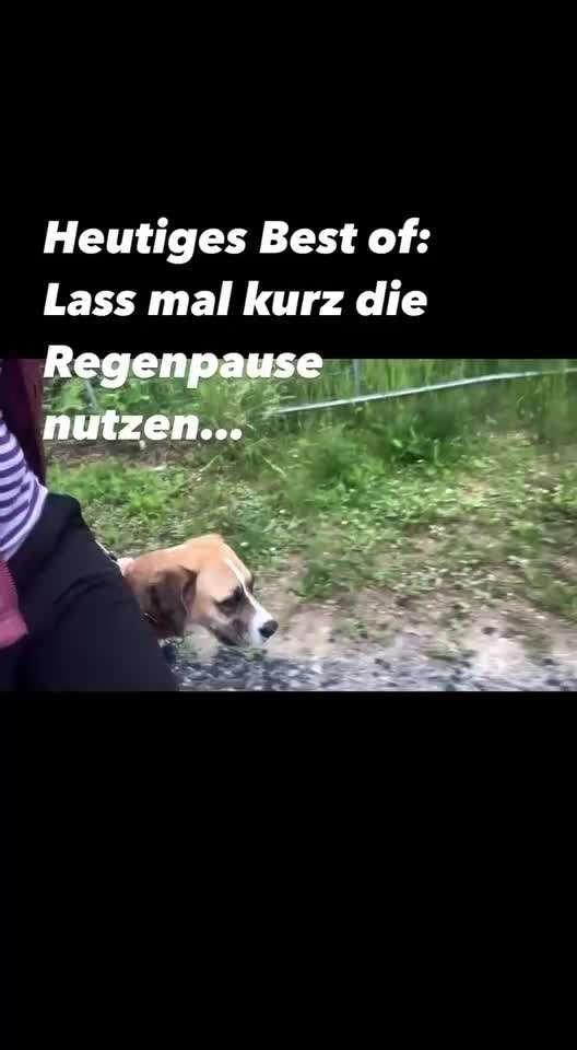 Kennt jemand die Gefärtenschmiede?-Beitrag-Bild