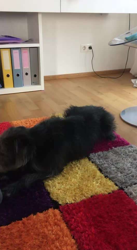 Trick Challenge Nr. 12-Beitrag-Bild