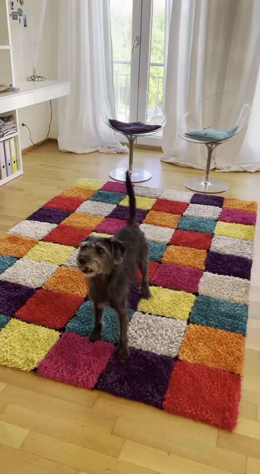 Trick Challenge Nr. 8-Beitrag-Bild