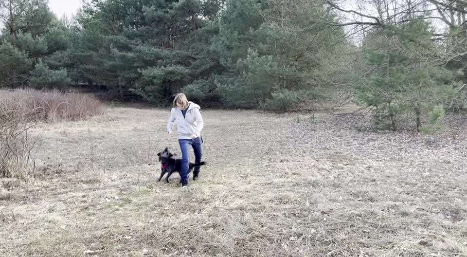 Trick Challenge Nr 6-Beitrag-Bild