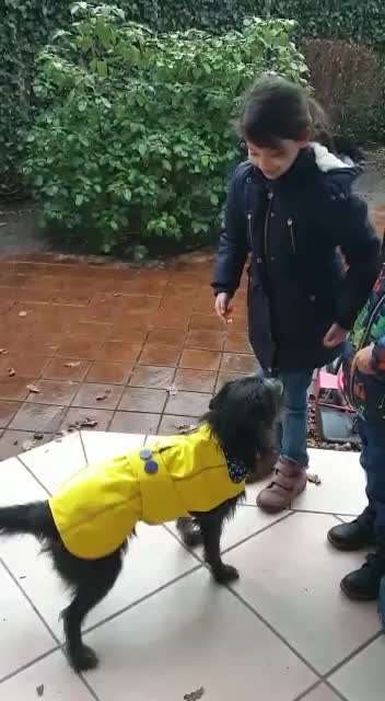 Trick Callange Nr.4-Beitrag-Bild