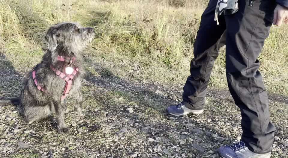 Trick Challange Nr 3-Beitrag-Bild