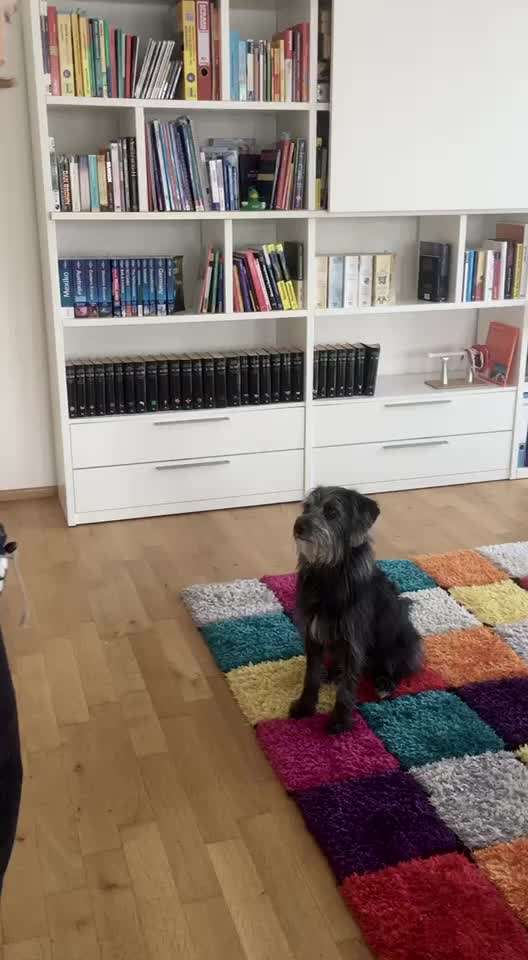 Trick Challenge Nr. 15-Beitrag-Bild