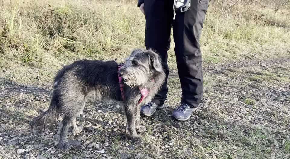 Trick Challange Nr 3-Beitrag-Bild