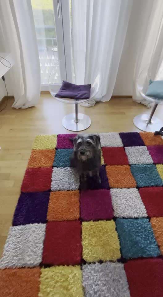 Trick Challenge Nr. 15-Beitrag-Bild