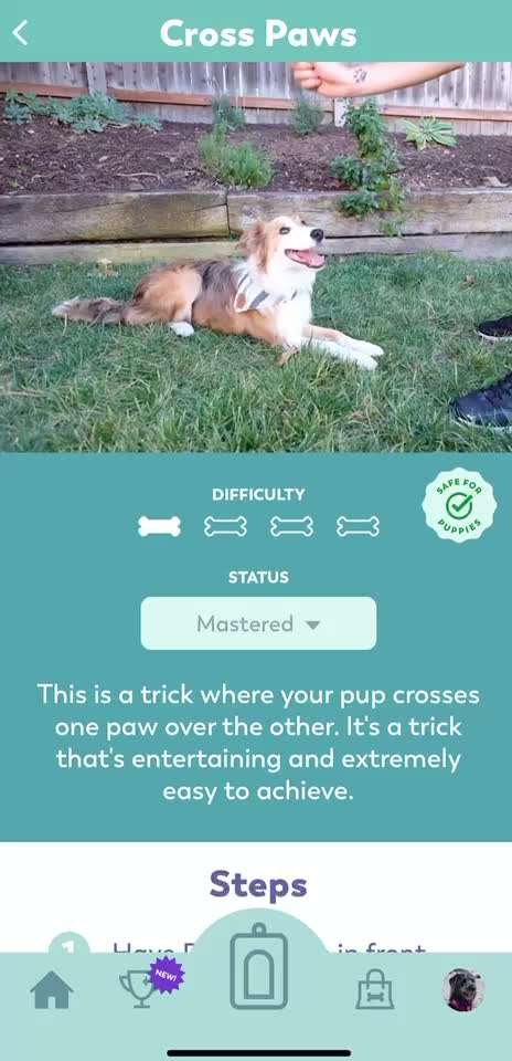 Trick Challenge Nr. 14-Beitrag-Bild