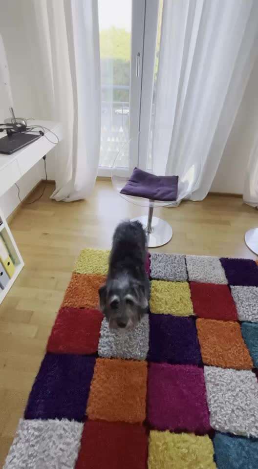 Trick Challenge Nr. 15-Beitrag-Bild