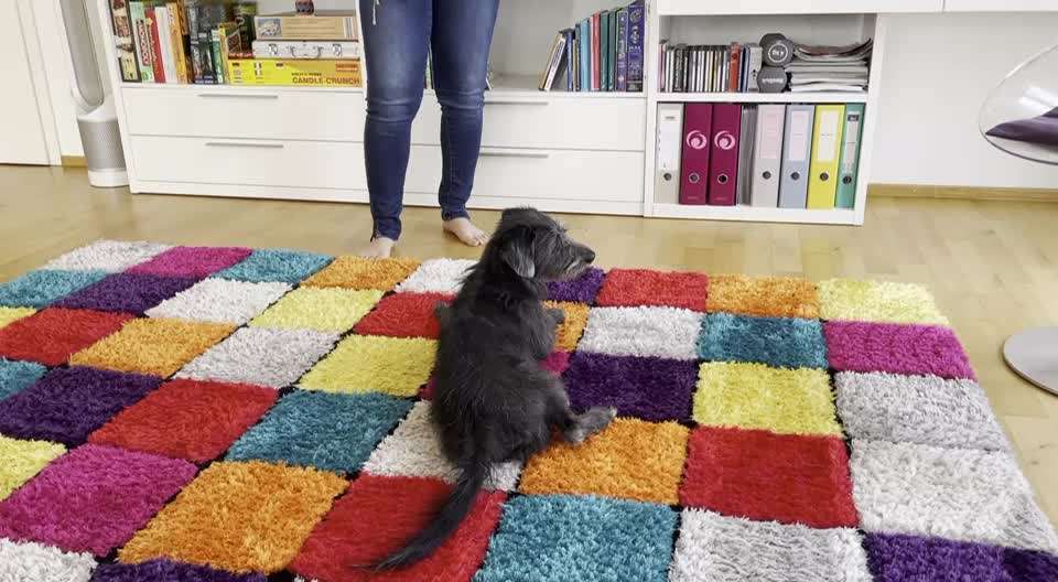 𝕋ℝ𝕀ℂ𝕂 ℂℍ𝔸𝕃𝕃𝔼ℕ𝔾𝔼 ℕℝ. 𝟚-Beitrag-Bild