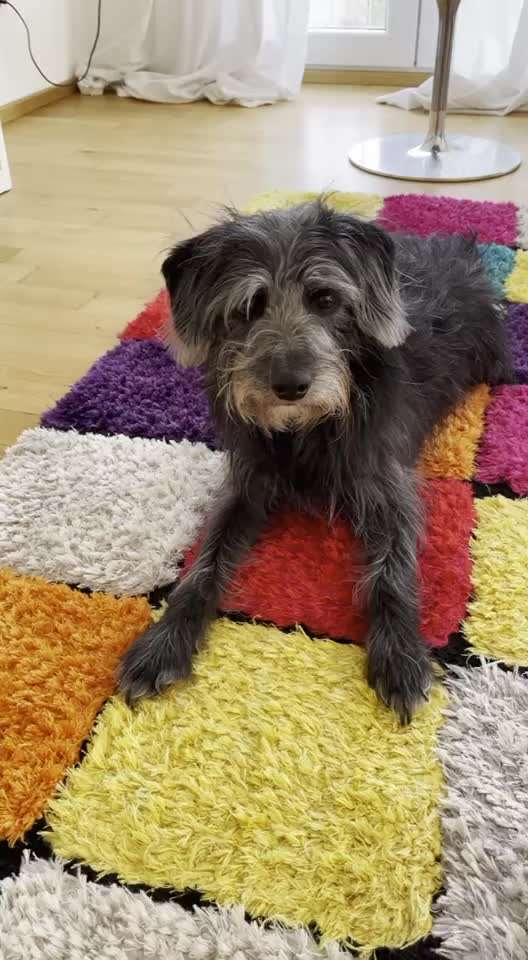 TRICK CHALLENGE NR. 10-Beitrag-Bild