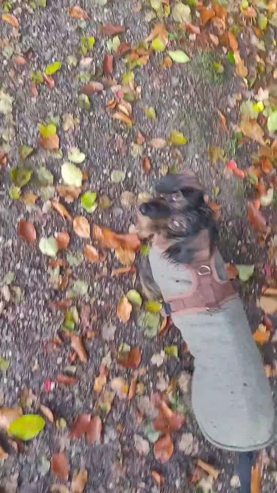 𝕋ℝ𝕀ℂ𝕂 ℂℍ𝔸𝕃𝕃𝔼ℕ𝔾𝔼 ℕℝ. 𝟙-Beitrag-Bild