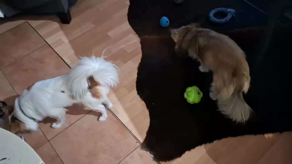 Wie habt ihr den Silvesterabend verbracht?-Beitrag-Bild