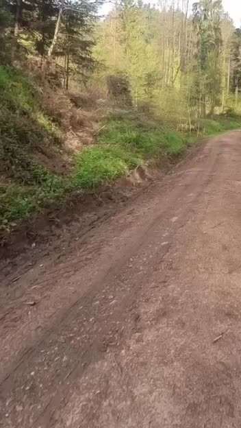 HANDY VIDEO CHALLENGE NR. 30: RÜCKRUF-Beitrag-Bild