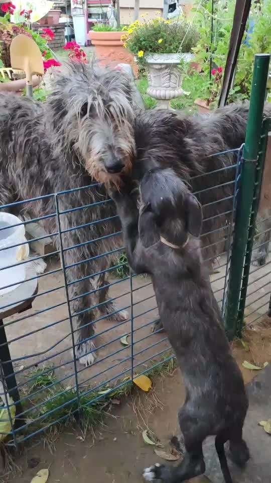 Lieblingsbild :D-Beitrag-Bild