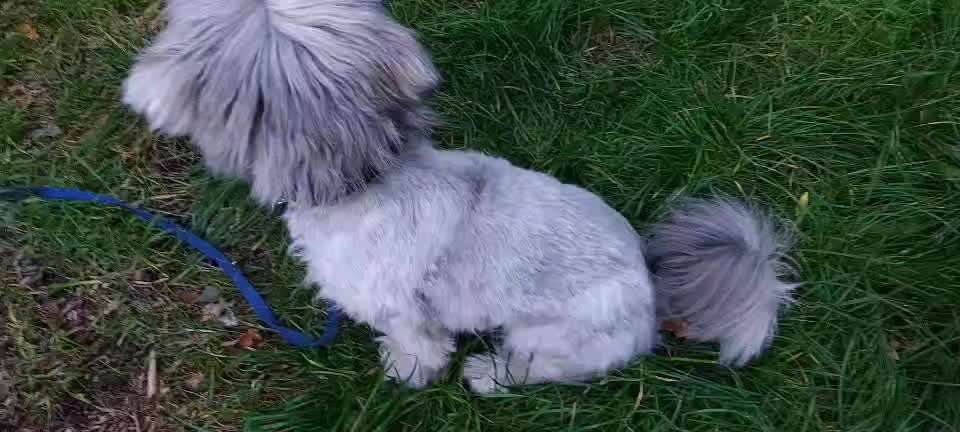 Frage: Wieviele Kommandos zwingend notwendig?-Beitrag-Bild