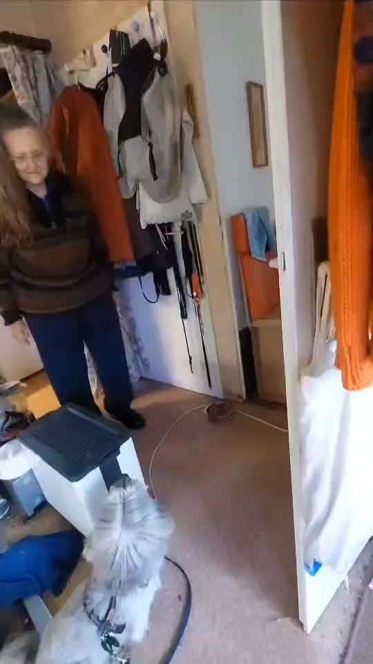 Hochsensibler Hund-Beitrag-Bild