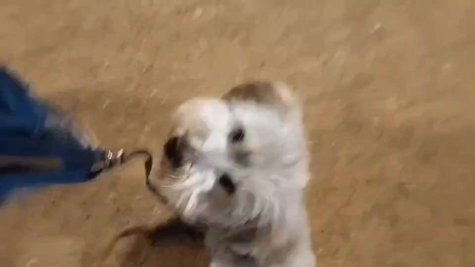 Frage: Wieviele Kommandos zwingend notwendig?-Beitrag-Bild