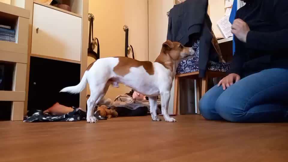 Trick Challenge Nr. 8-Beitrag-Bild