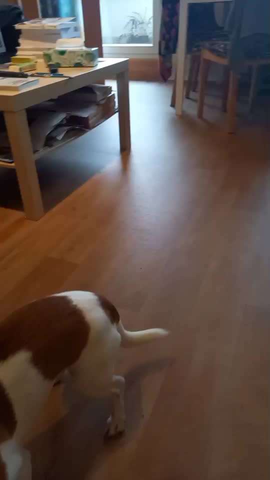 𝕋ℝ𝕀ℂ𝕂 ℂℍ𝔸𝕃𝕃𝔼ℕ𝔾𝔼 ℕℝ. 𝟚-Beitrag-Bild