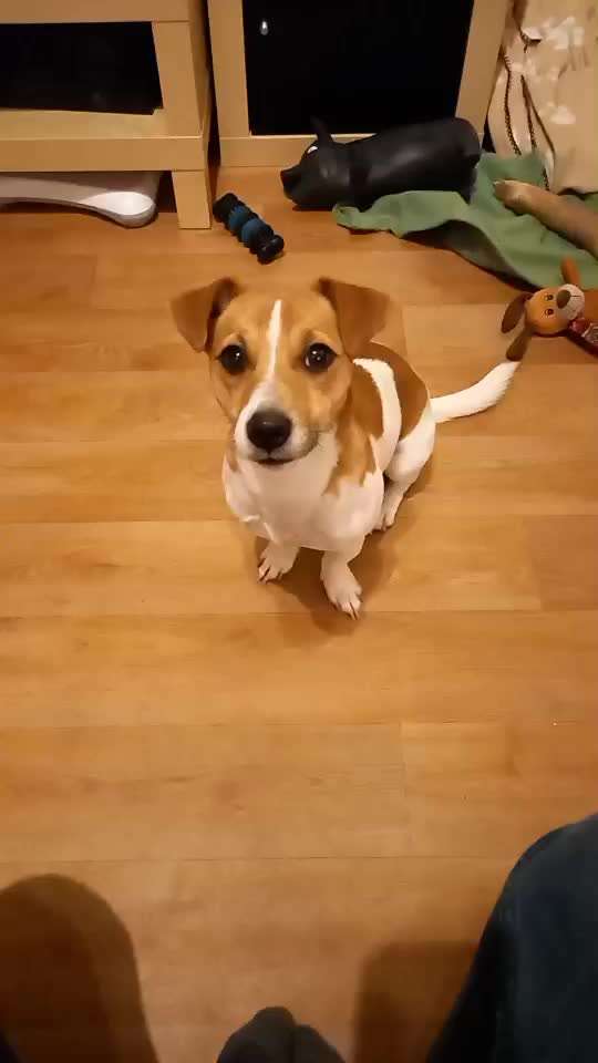 Trick Challange Nr 3-Beitrag-Bild