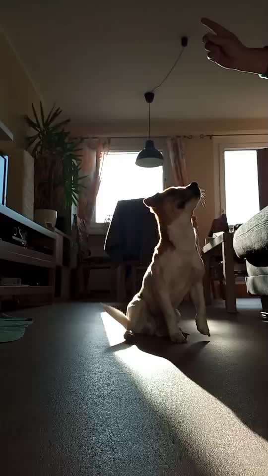 𝕋ℝ𝕀ℂ𝕂 ℂℍ𝔸𝕃𝕃𝔼ℕ𝔾𝔼 ℕℝ. 𝟙-Beitrag-Bild