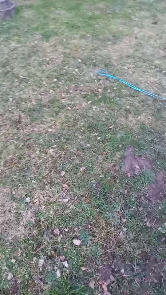 Trick Challenge Nr. 7-Beitrag-Bild