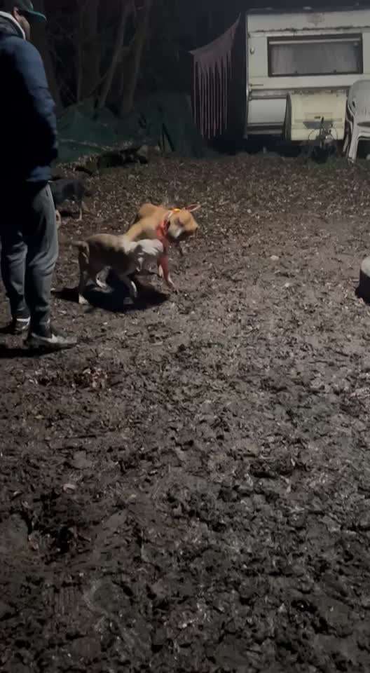 Ursache fürs Anspringen finden und beheben-Beitrag-Bild