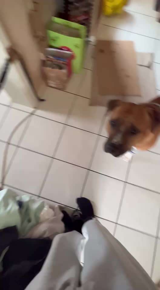 Analyse & Interpretation von Verhalten-Beitrag-Bild