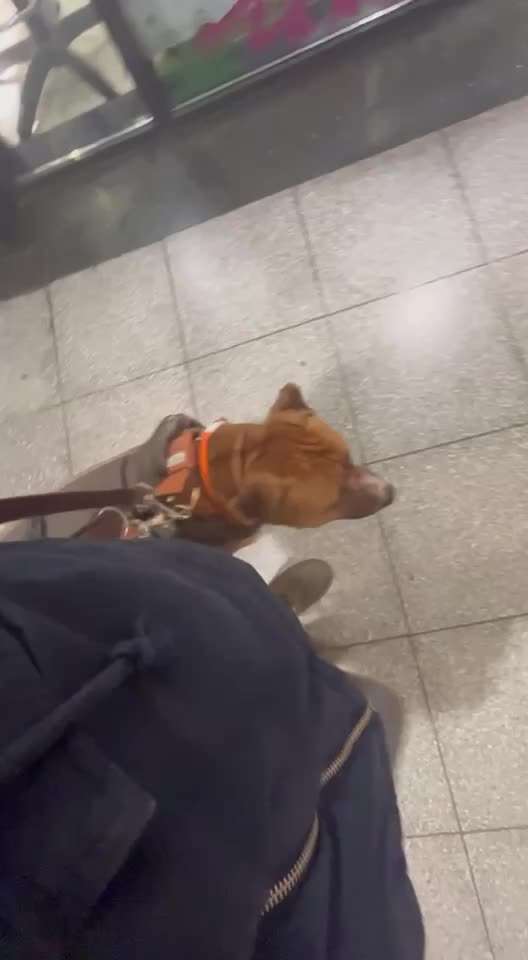 Impulskontrolle Challenge Nr.: 7
         "Gesellschaftsfähig"-Beitrag-Bild